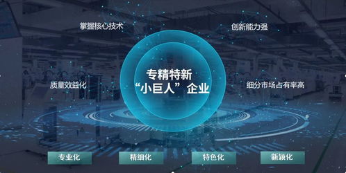 玄羽科技榮膺國(guó)家級(jí)“專精特新”小巨人企業(yè)，引領(lǐng)工業(yè)互聯(lián)網(wǎng)數(shù)據(jù)服務(wù)新篇章